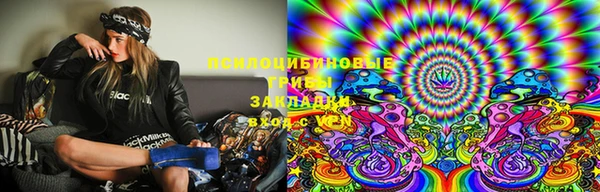 дурь Михайлов