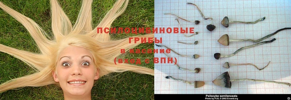 дурь Михайлов