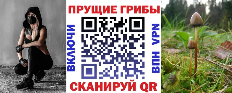 Псилоцибиновые грибы MAGIC MUSHROOMS  наркота  Качканар 