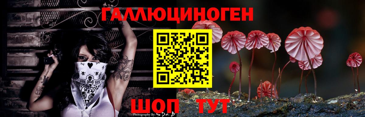 Псилоцибиновые грибы мухоморы  Вход с VPN  Качканар  Галлюциногенные грибы мицелий 