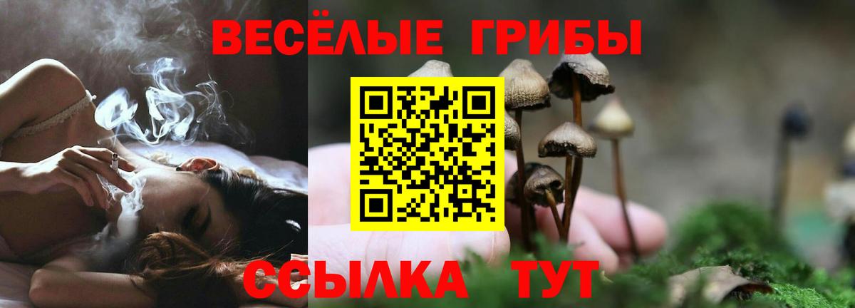 Галлюциногенные грибы прущие грибы Качканар